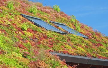 Bartley Green living roof systems